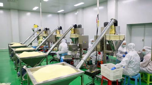 海伦龙海食品年可加工绿色速溶豆粉2万吨